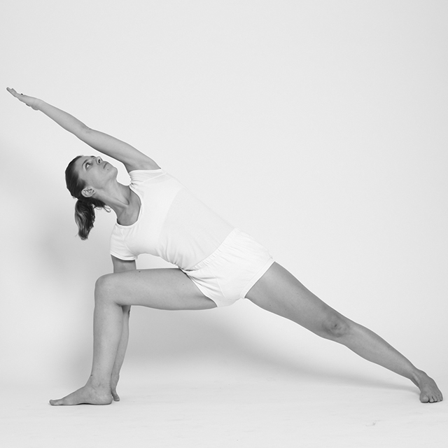 iyengar-yoga-com-props-my-yoga